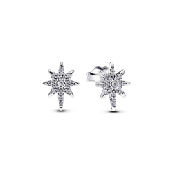 Pandora Ohrstecker 293587C01