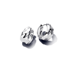 Pandora Ohrringe 293874C00