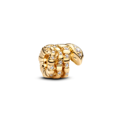 Pandora Charm 763618C01