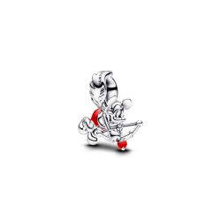 Pandora Charm 793616C01