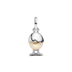 Pandora Charm 793748C01