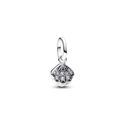 Pandora Charm 793855C01