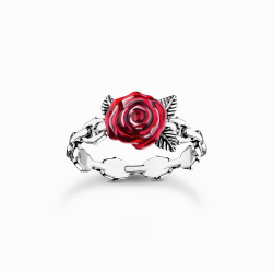 Thomas Sabo Ring TR2482-664-10