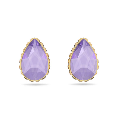 Swarovski Ohrstecker 5641405