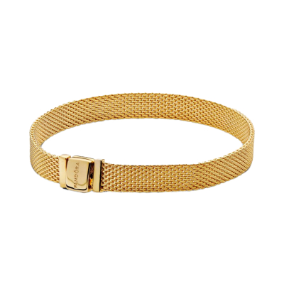 Pandora Armband 568666C00-20