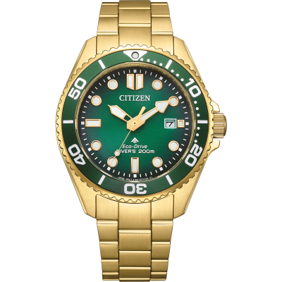 Citizen Uhren BN0262-59W