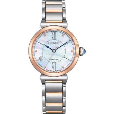 Citizen Uhren EM1074-82D
