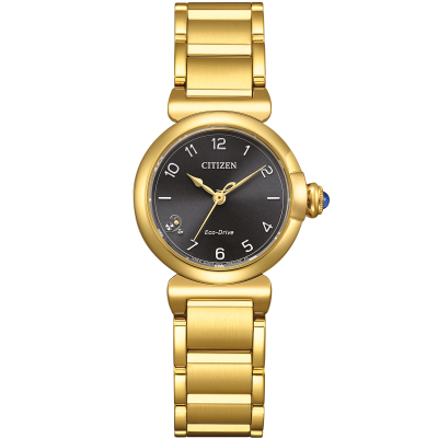 Citizen Uhren EM1132-88H