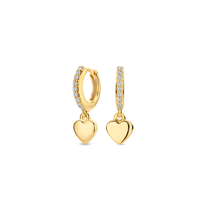 FJF JEWELLERY Creolen FJF0030045YWH
