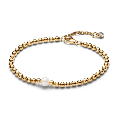 Pandora Armband 563173C01