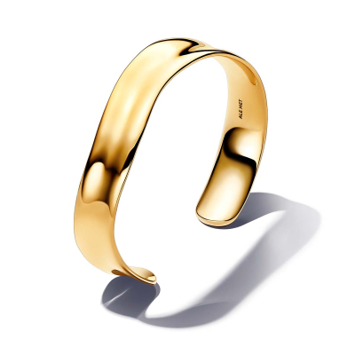 Pandora Armreif 563302C00