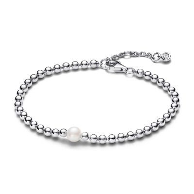 Pandora Armband 593173C01