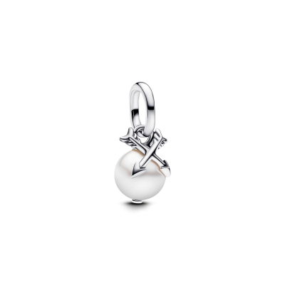 Pandora Charm 793687C01