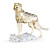 Swarovski Kristall Figuren - Elegance of Africa Gepardenbaby SCS - 5636484