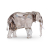 Elegance of Africa SCS - Elefant Fayola - 5604555 Kristall Figuren von Swarovski