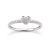 Palido Ring - ENJOY S3195/53
