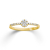 Palido Ring - K11963G/55