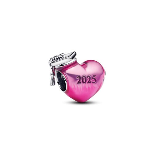 Pandora Charm - 793788C01