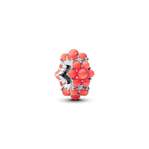 Pandora Charm - 793897C01