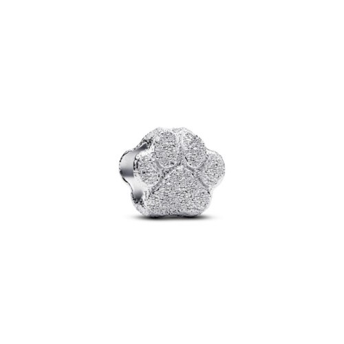 Pandora Charm - Paw - 794043C00