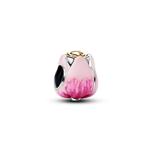 Pandora Charm - 764352C01