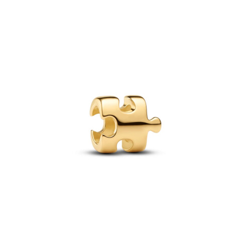 Pandora Charm - Puzzle - 764514C00