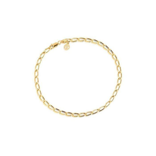 SIF Jakobs Fußkette / Fußband - Cheval - SJ-A12032-SG