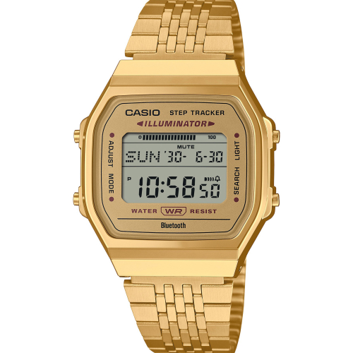 Casio Uhren - ABL-100WEG-9AEF