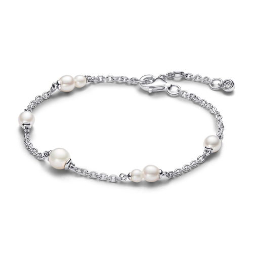 Pandora Armband - 593172C01