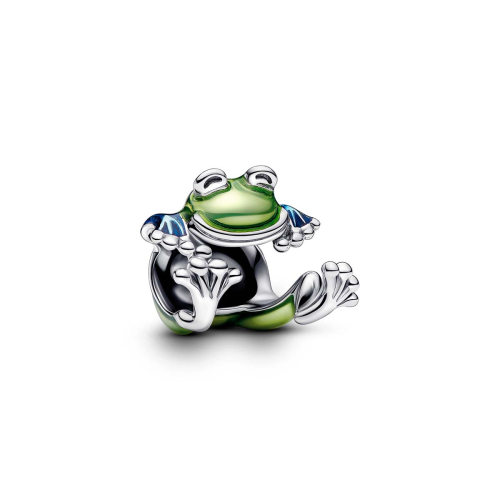 Pandora Charm - 793342C01