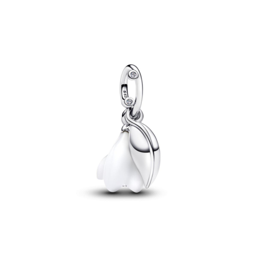 Pandora Charm - 794239C01
