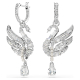 Swan - 5723388