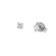 Paris Collection F1339W